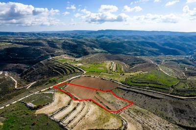 Field in Arsos, Limassol thumbnail 3