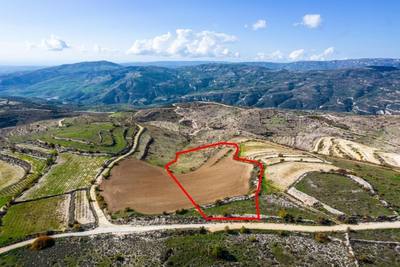 Field in Arsos, Limassol thumbnail 1