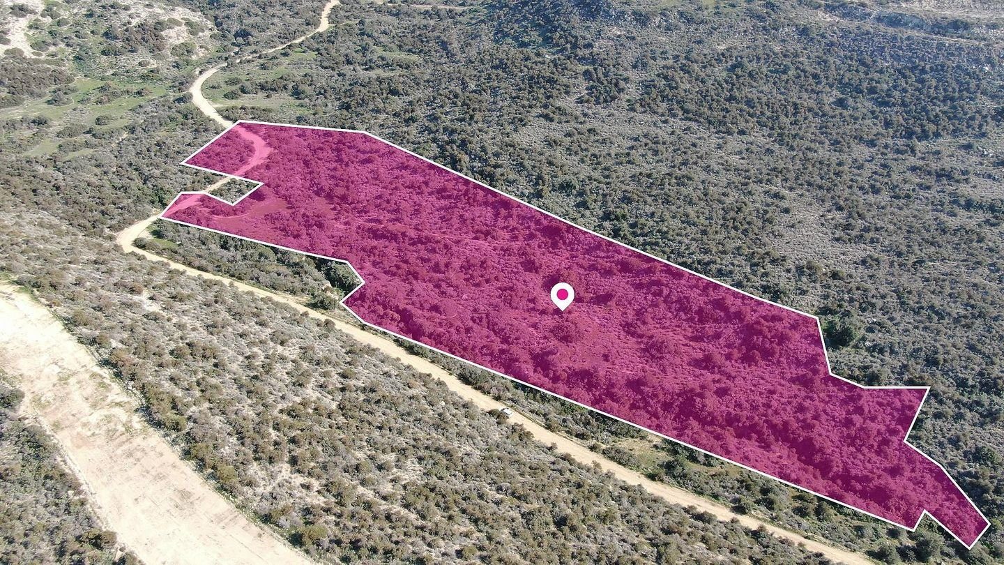 Agricultural field in Psematismenos, Larnaca photo 4