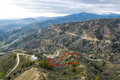 Shared agricultural field in Zoopigi, Limassol thumbnail 3