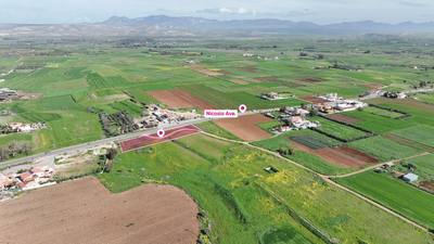 (Share) Agricultural field in Peristerona, Nicosia thumbnail 2