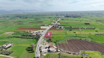 (Share) Agricultural field in Peristerona, Nicosia thumbnail 3