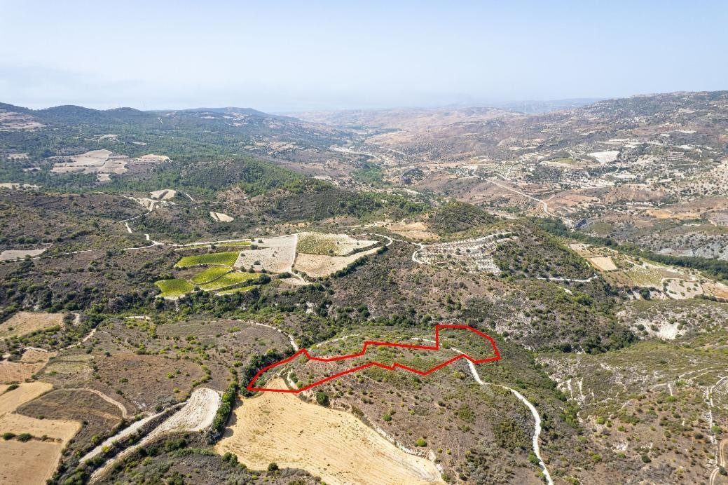 Field in Dora, Limassol photo 2