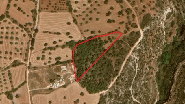 Shared field in Neo Chorio, Paphos