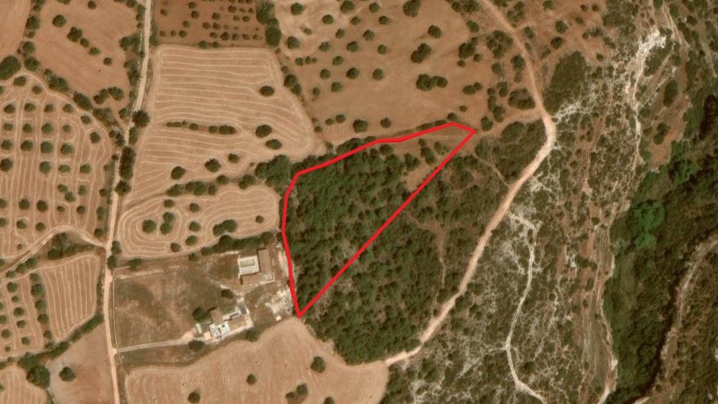 Shared field in Neo Chorio, Paphos