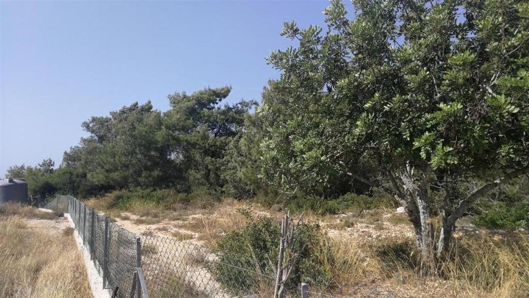 Shared field in Neo Chorio, Paphos — photo 2