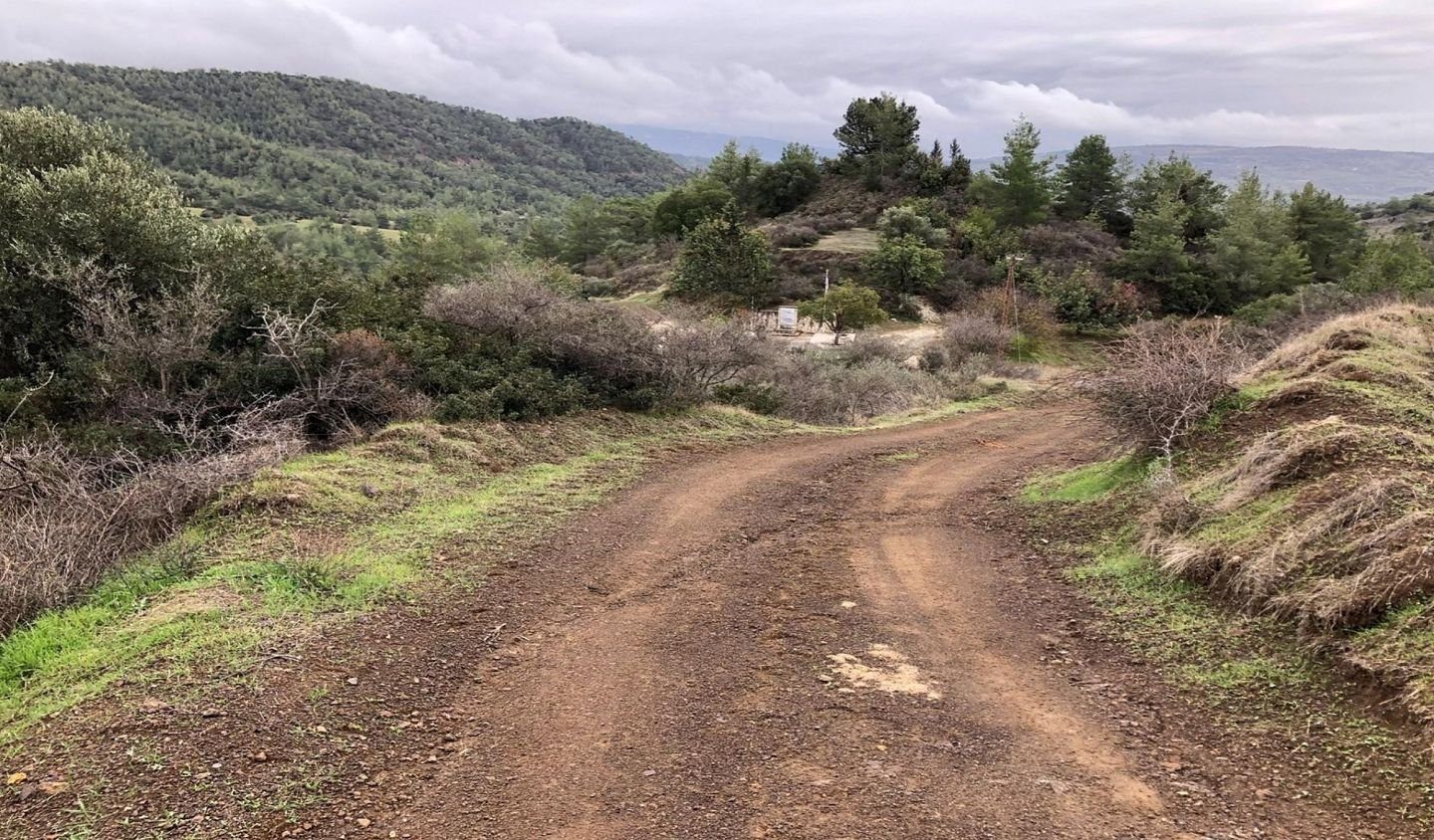 Agricultural field, Lysos, Paphos photo 6