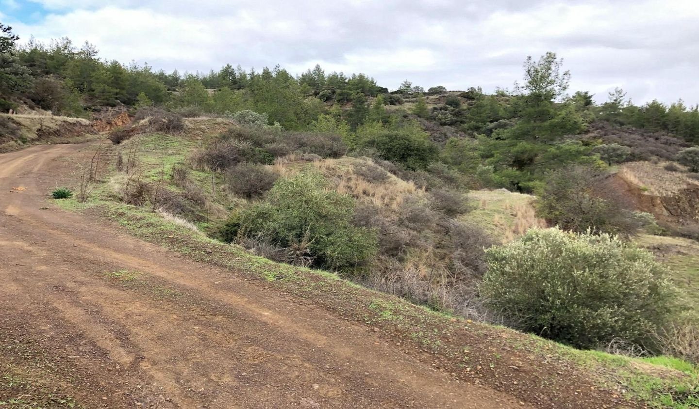 Agricultural field, Lysos, Paphos photo 5