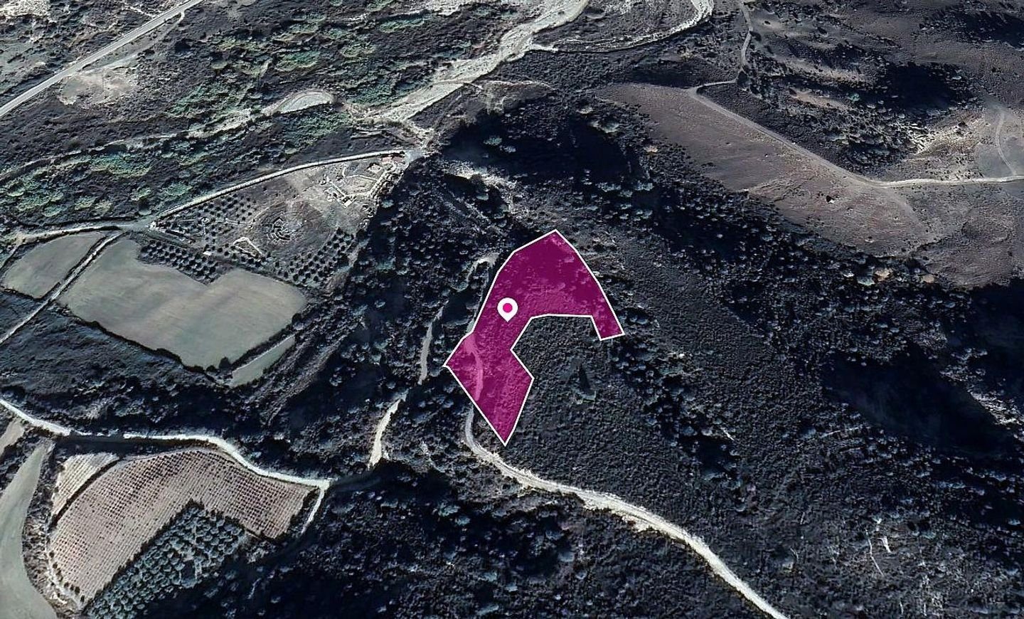 Field, Dora, Limassol photo 3