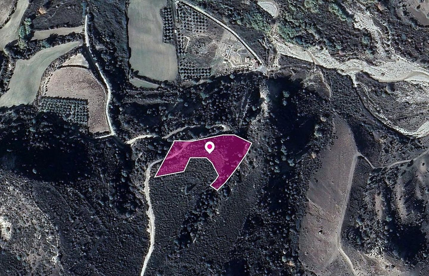 Field, Dora, Limassol photo 1