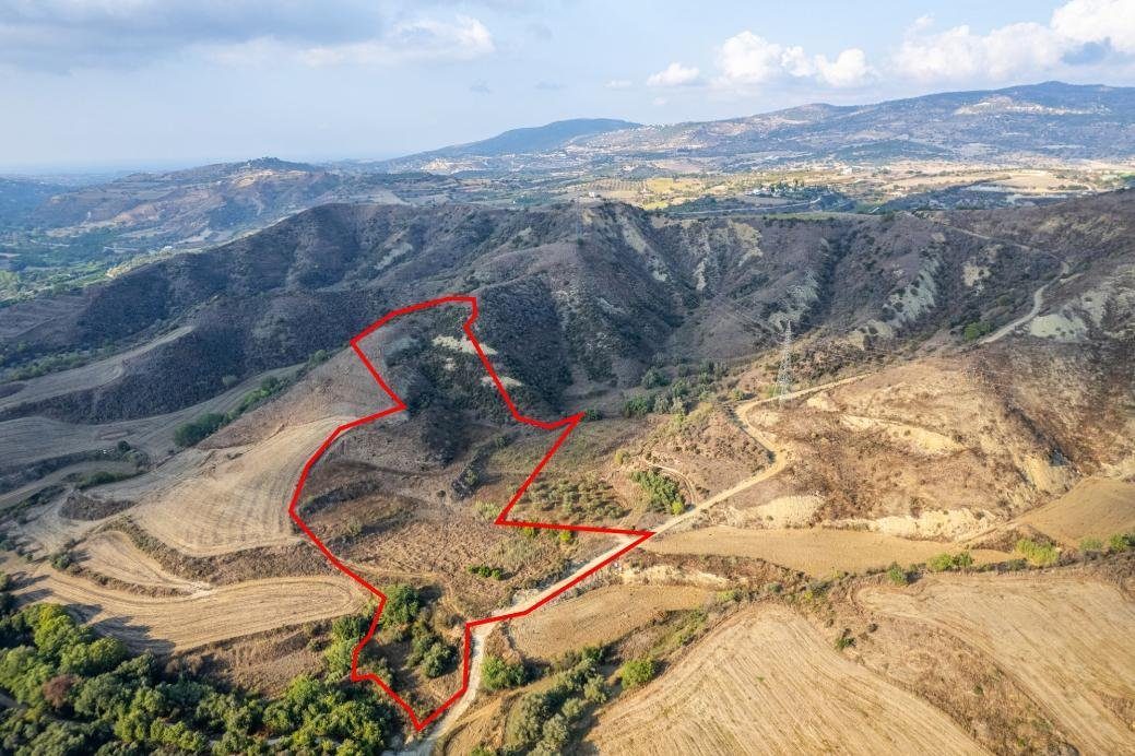 Shared agricultural field in Giolou, Paphos photo 1
