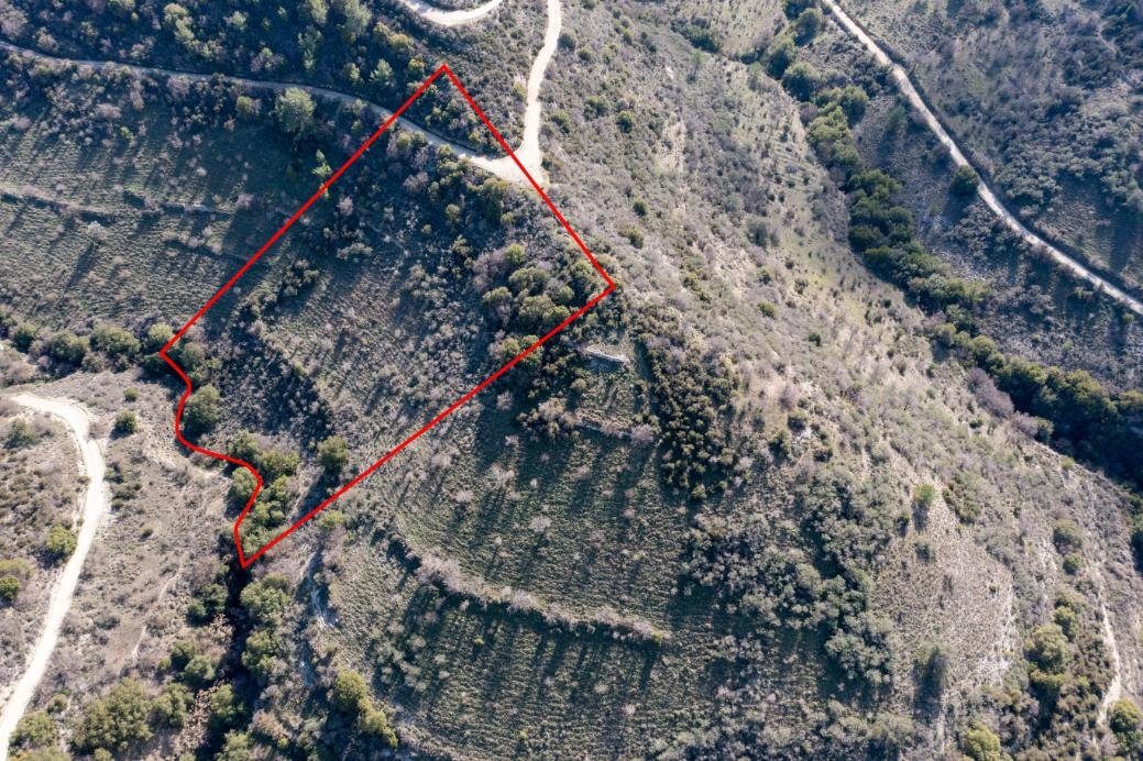 Field in Dora, Limassol photo 1
