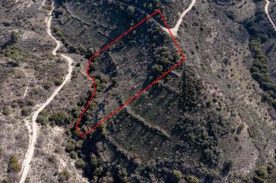 Field in Dora, Limassol thumbnail 2