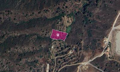 Agricultural Field in Temvria, Nicosia thumbnail 1