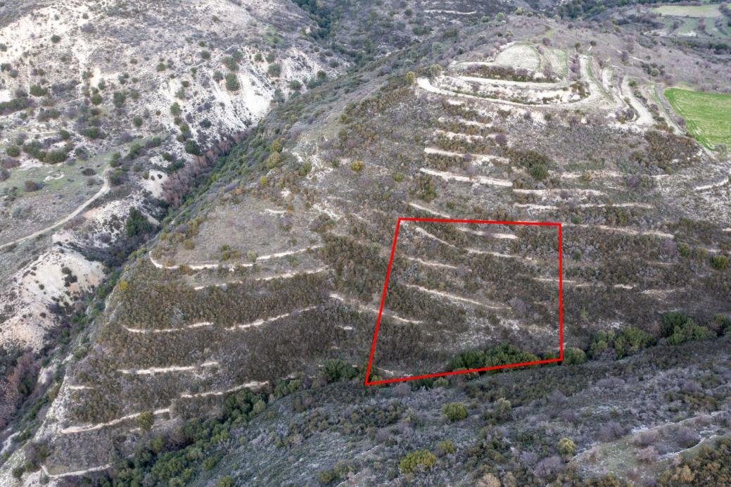 Field in Dora, Limassol — photo 3