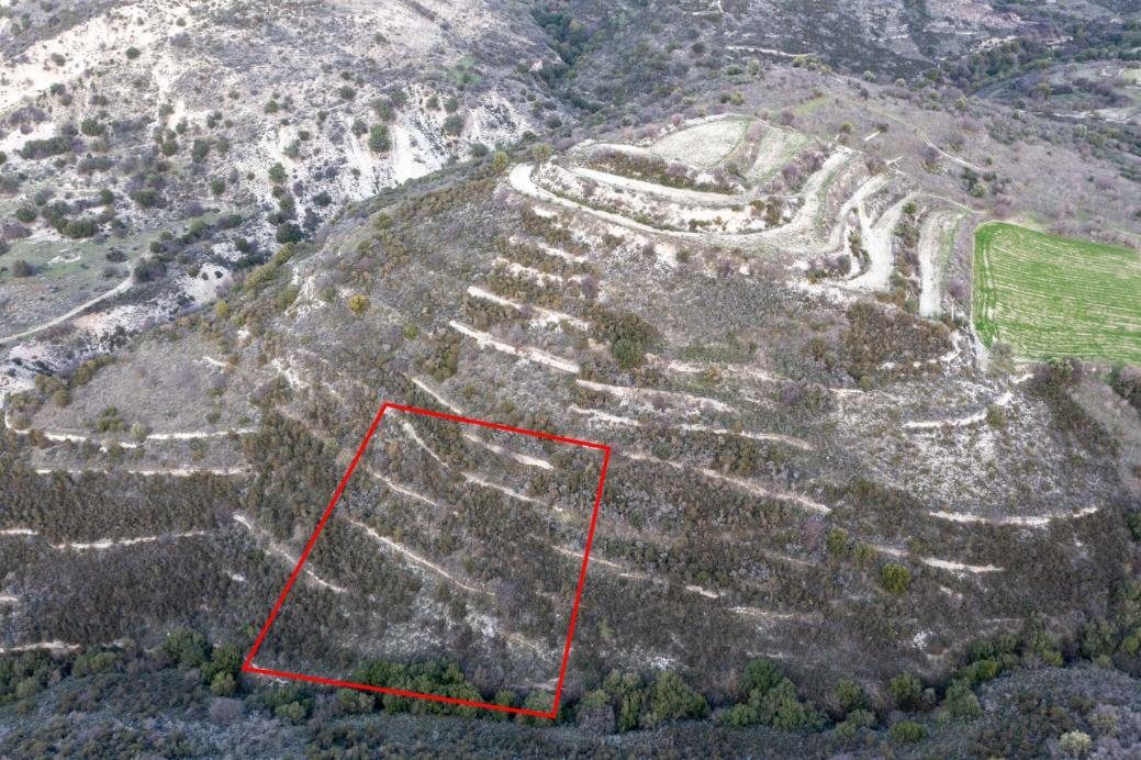 Field in Dora, Limassol