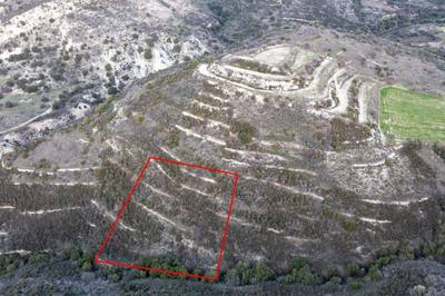 Field in Dora, Limassol thumbnail 1