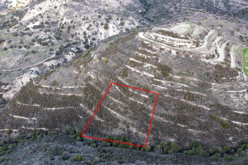 Field in Dora, Limassol — photo 2