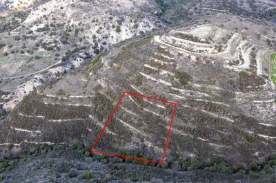 Field in Dora, Limassol thumbnail 2