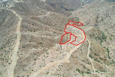Fields in Eptagoneia, Limassol thumbnail 2