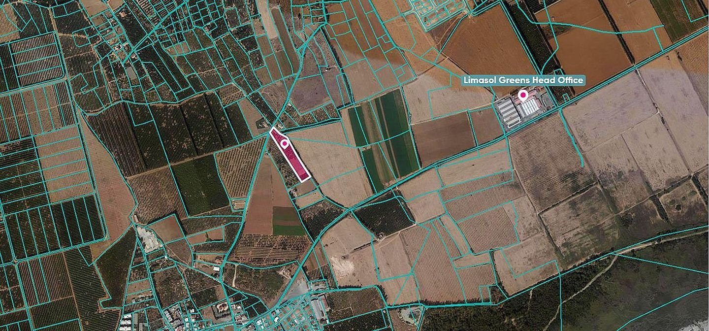 (Share) Field in Asomatos, Limassol photo 3