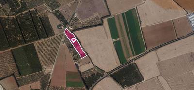 (Share) Field in Asomatos, Limassol thumbnail 1