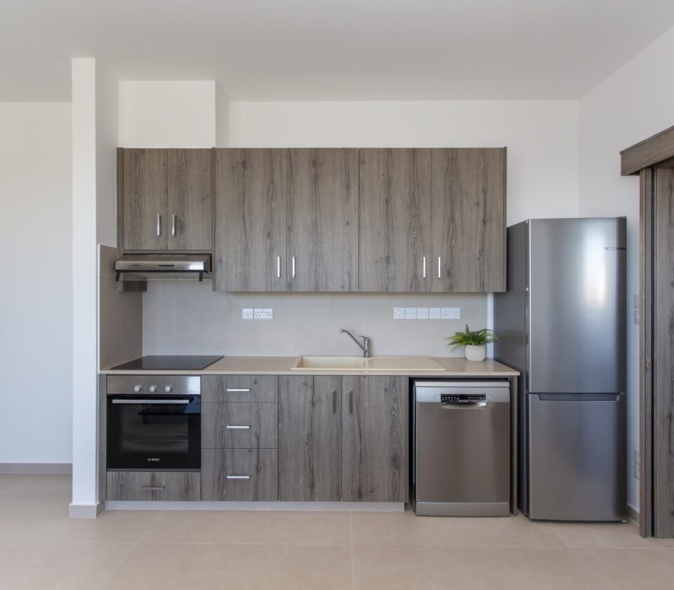 1 BR Apartment in Kato Polemidia, Limassol photo 7