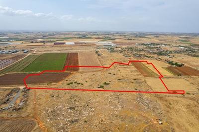 Shared agricultural field in Liopetri, Famagusta thumbnail 2