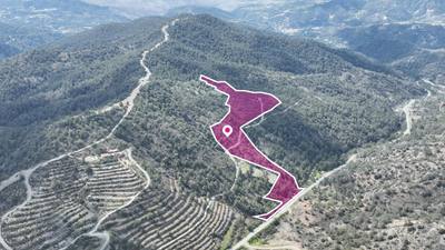 Agricultural Field, Louvaras, Limassol thumbnail 1