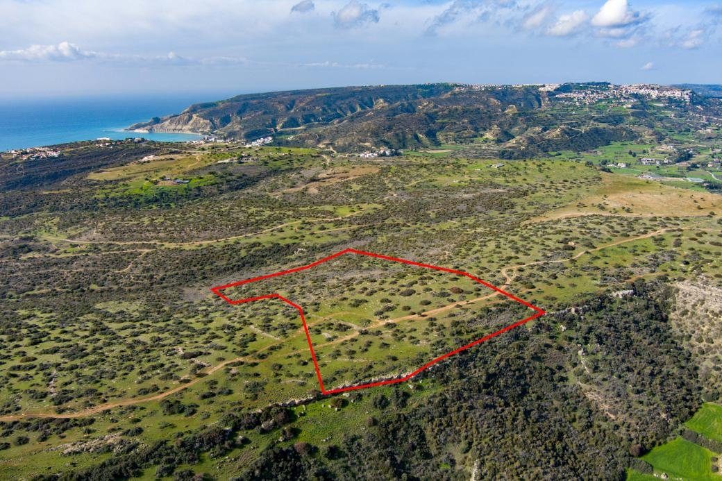 Touristic field in Pissouri, Limassol photo 3