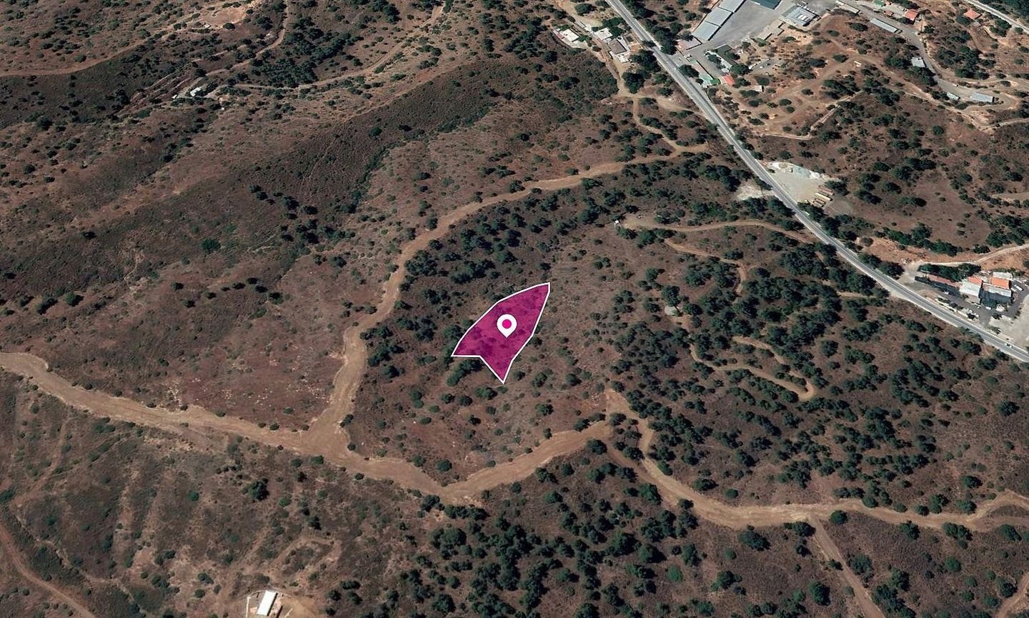 Field in Evrychou, Nicosia photo 3