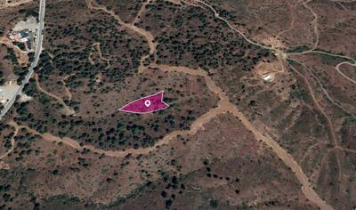 Field in Evrychou, Nicosia thumbnail 1