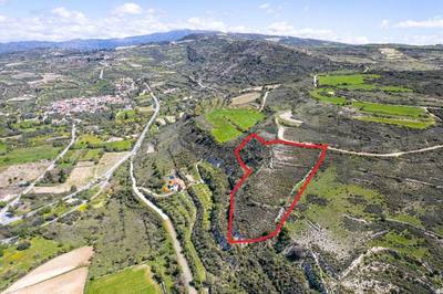 Agricultural field in Praitori, Paphos thumbnail 4