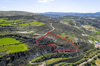 Agricultural field in Praitori, Paphos thumbnail 3