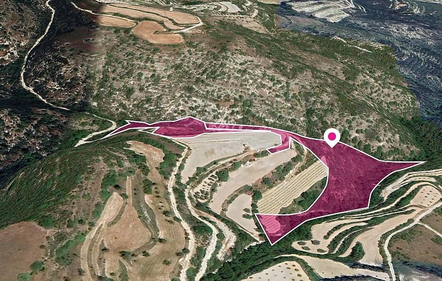 Two Fields in Theletra, Paphos photo 4