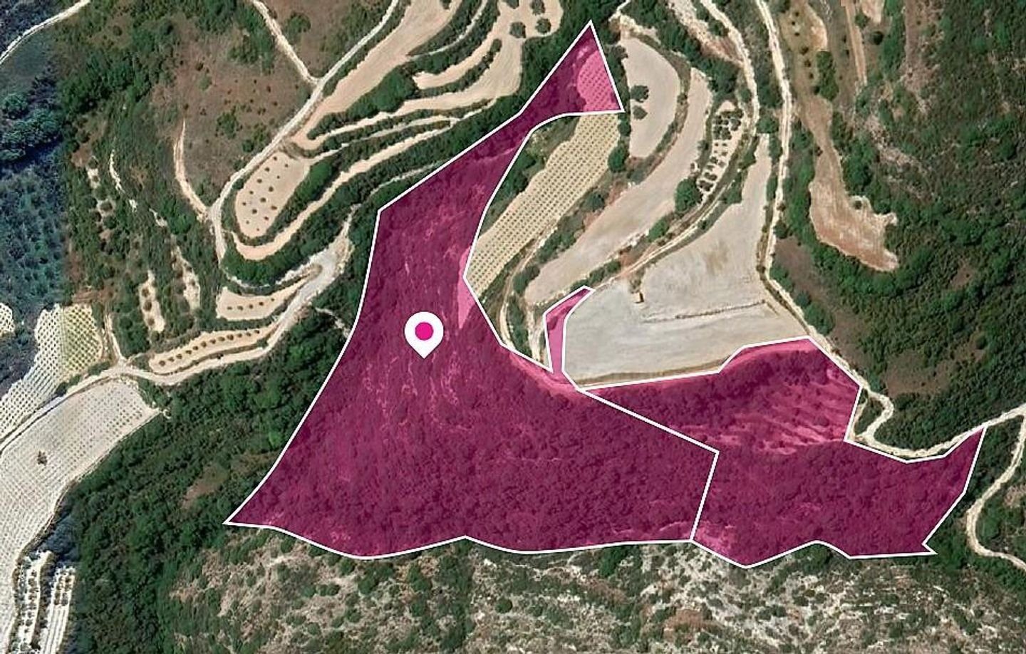 Two Agricultural and Special protection fields in Theletra, Paphos photo 1