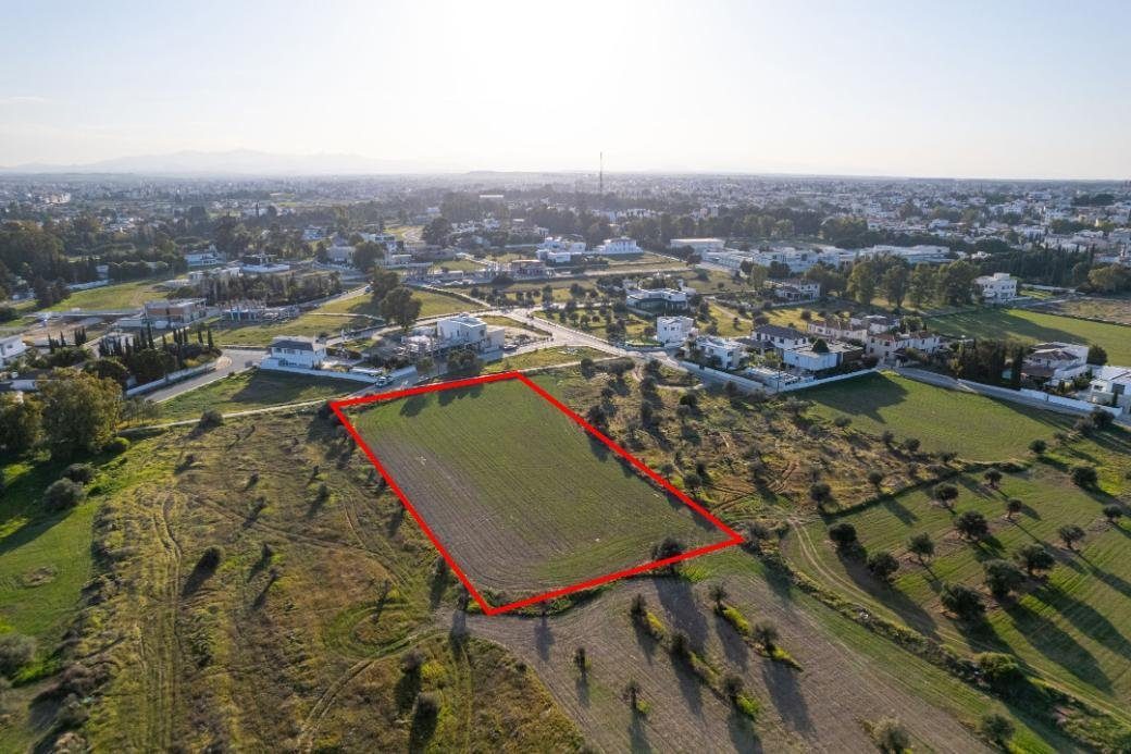 Shared residential field in Chryseleousa, Strovolos photo 6