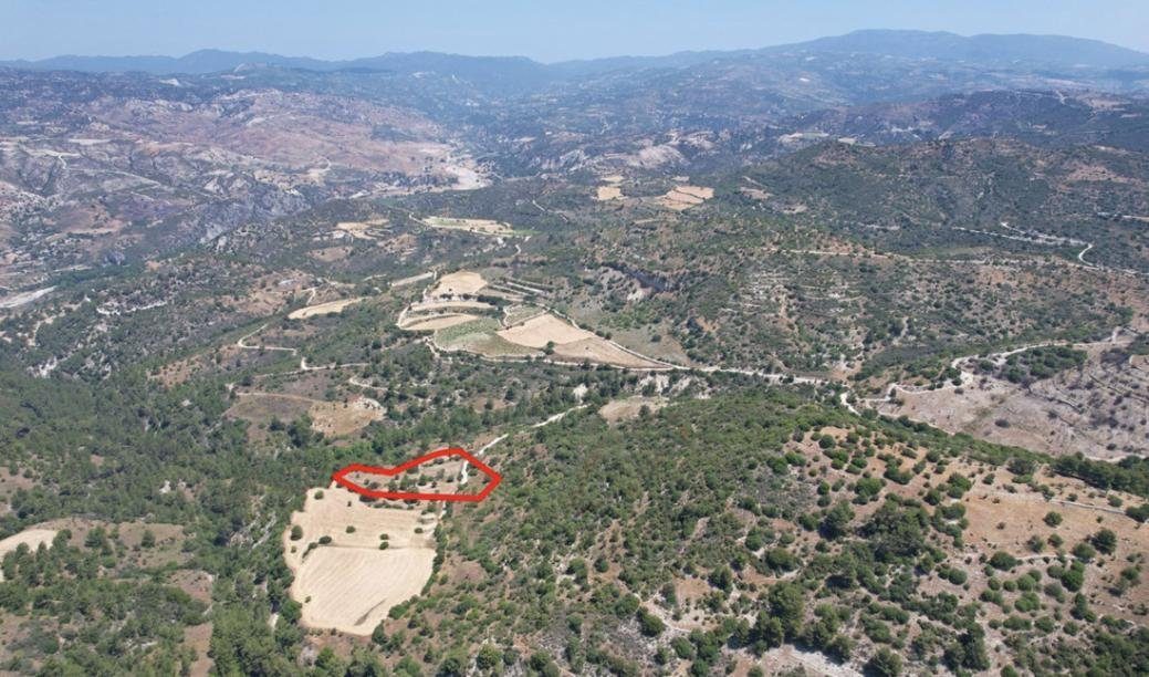 Field in Mousere, Paphos photo 1