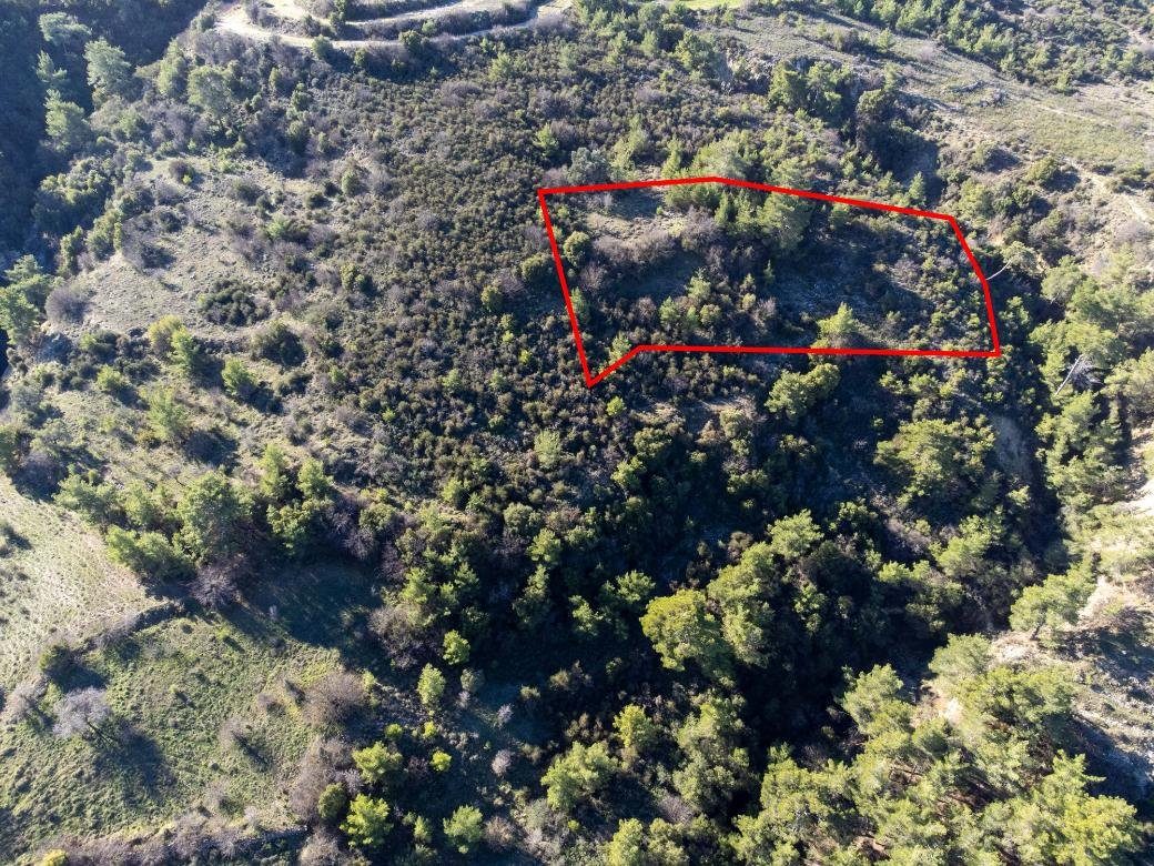 Field in Mousere, Paphos photo 2