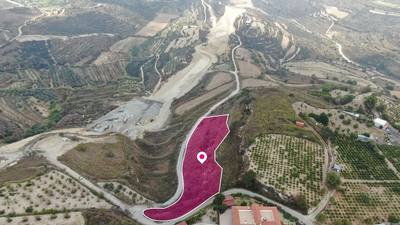 Agricultural Field in Tsada, Paphos thumbnail 4