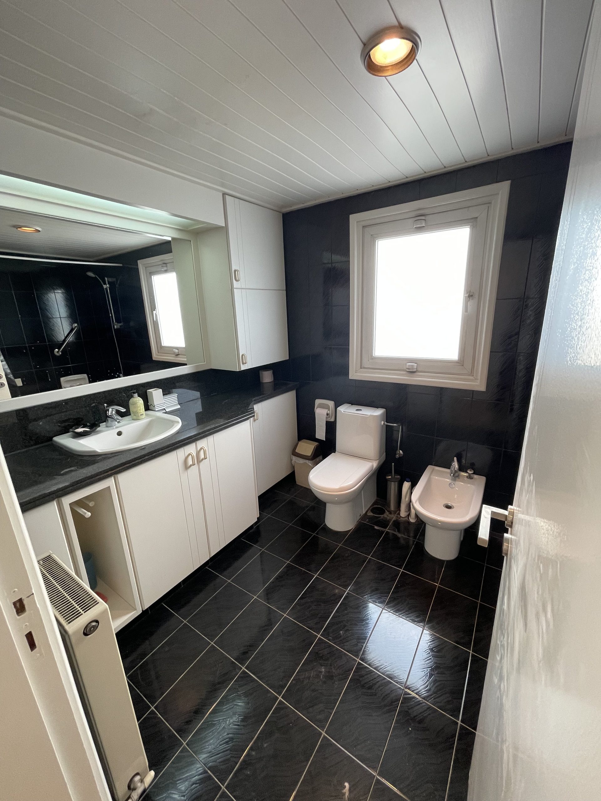 3BR villa in Nicosia photo 14