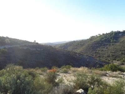 Agricultural field in Asgata, Limassol thumbnail 3