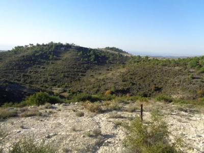 Agricultural field in Asgata, Limassol thumbnail 2