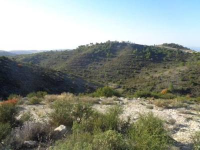 Agricultural field in Asgata, Limassol thumbnail 1
