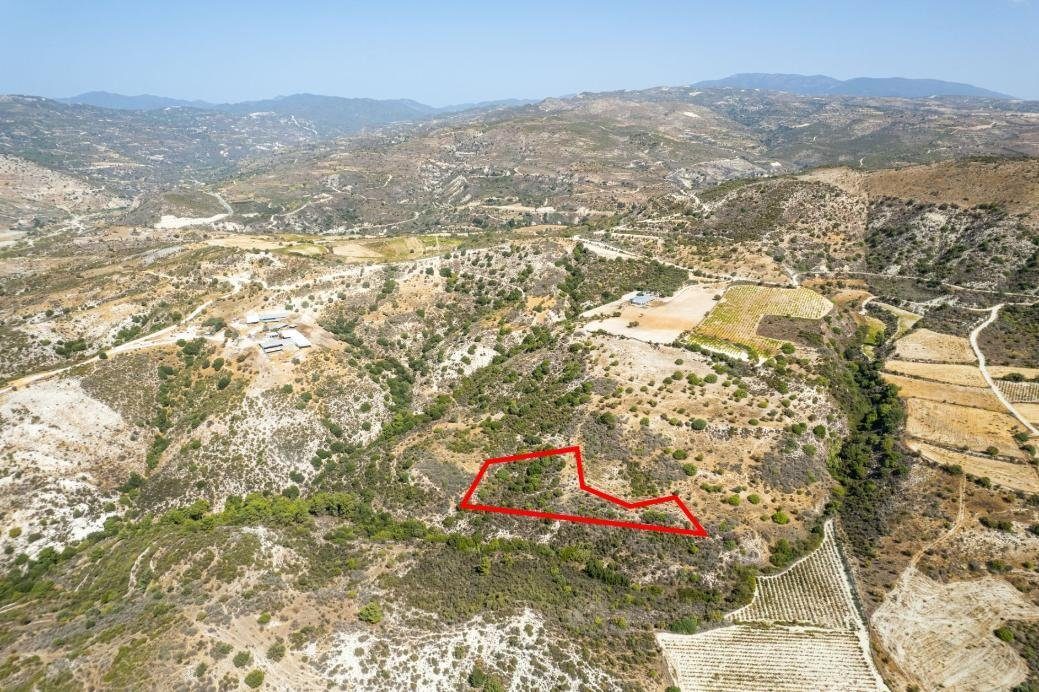 Field in Dora, Limassol photo 2