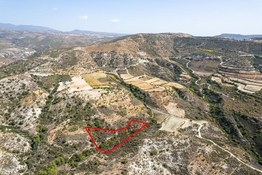 Field in Dora, Limassol photo 3