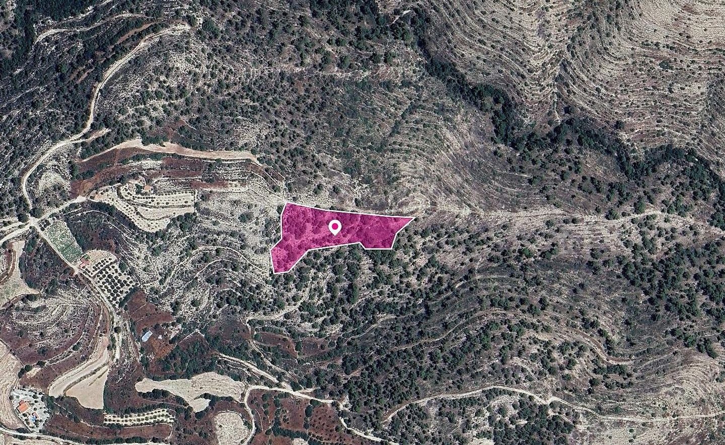 (Share) Agricultural Field in Agios Therapon, Limassol photo 2
