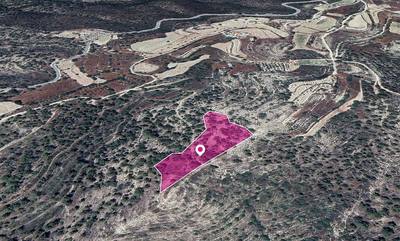 (Share) Agricultural Field in Agios Therapon, Limassol thumbnail 1