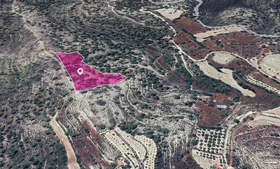 (Share) Agricultural Field in Agios Therapon, Limassol thumbnail 3