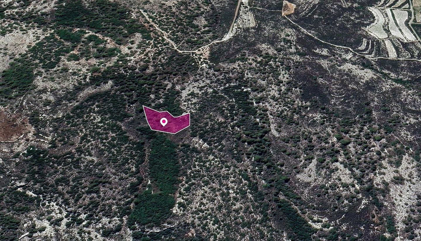 Agricultural Field, Trimiklini, Limassol photo 3